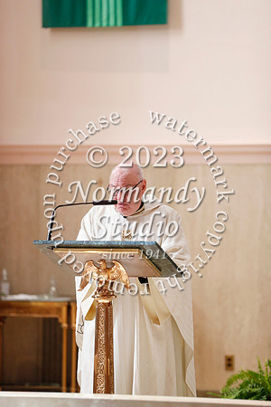 MSM_mercy mass_35