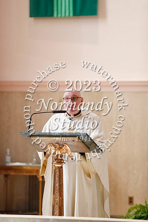 MSM_mercy mass_38