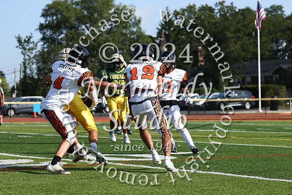 SVL_fb-f_61