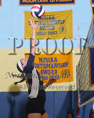 MSM_10_vb
