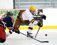 ICE HOCKEY