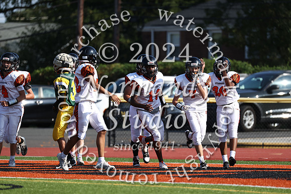 SVL_fb-f_28