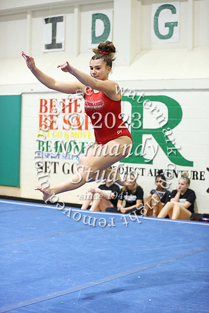 BER-gy-g_27