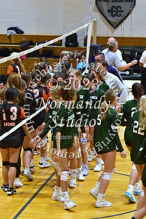 CNH_vb-g_94