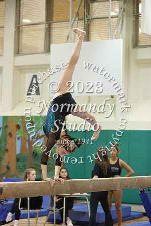 RDG_gy-g_22
