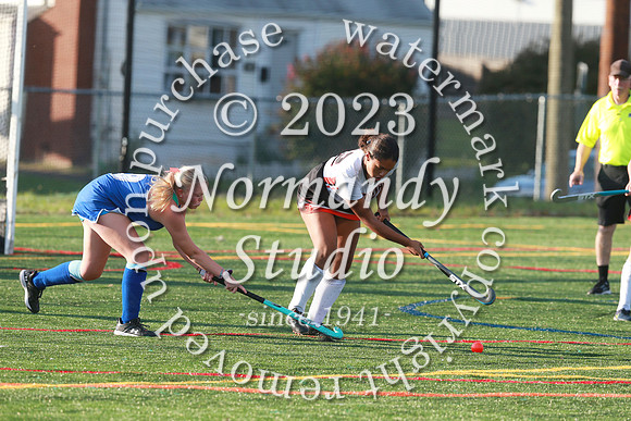 SVL_fh-j_28