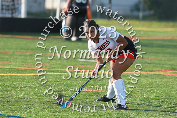 SVL_fh-j_37