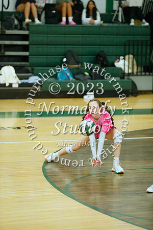 JAC_vb-g_15