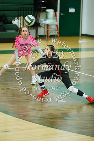 JAC_vb-g_14