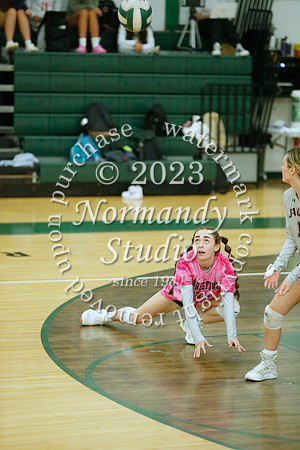 JAC_vb-g_17