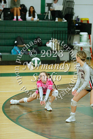 JAC_vb-g_16