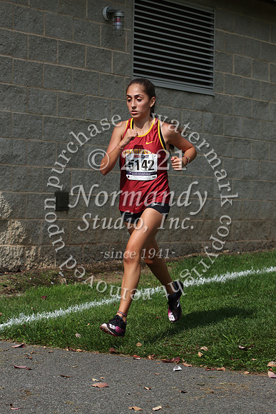 VOR_061_cc-g.jpg
