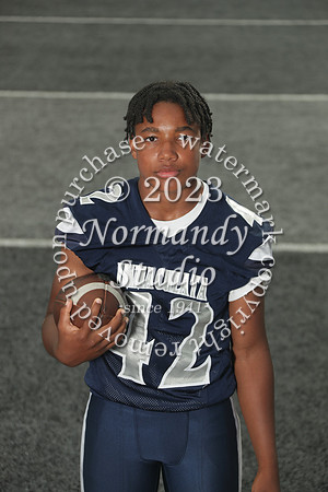 IMC_fb ind_31