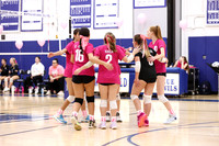 WHS_vb-pink out_02