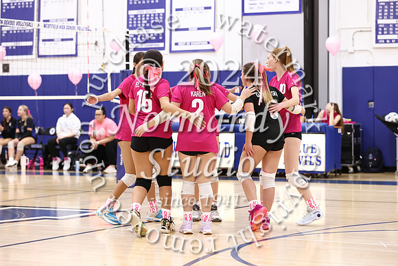 WHS_vb-pink out_02