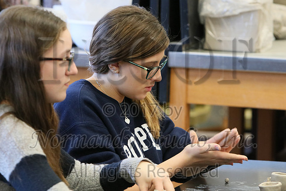 whs_056_slc