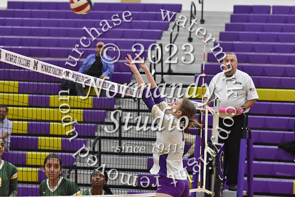MON_vb-g_51