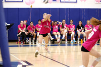WHS_vb-pink out_13