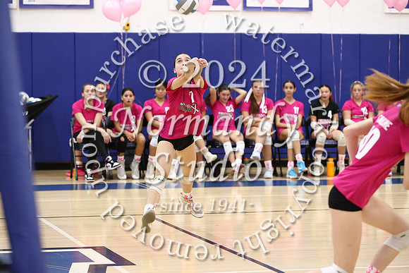 WHS_vb-pink out_13