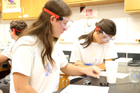 WHS_slc_010