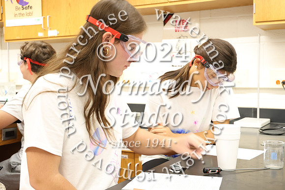 WHS_slc_010