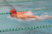 SWIMMING BOYS