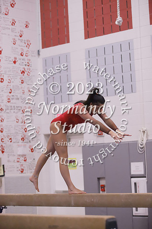 JAC-LIB_gy_10