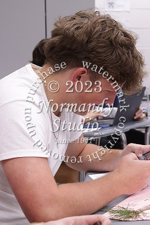 LIB_slc_20