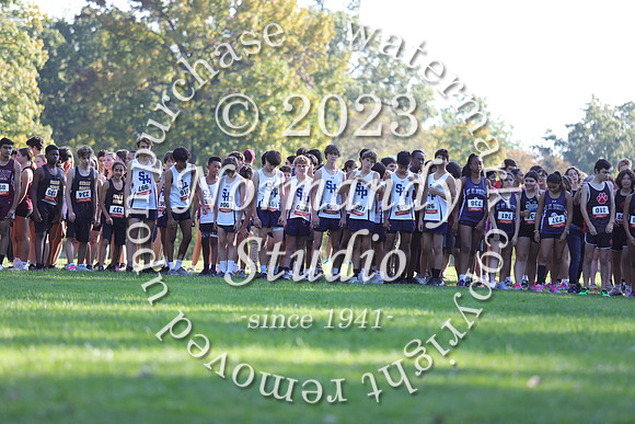 SHP_cc-f_04
