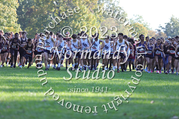 SHP_cc-f_08