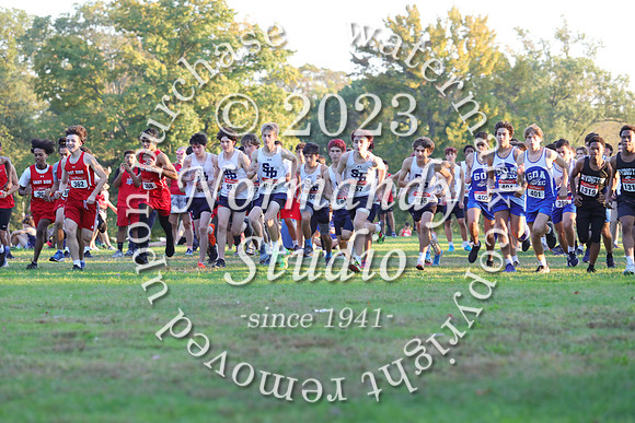 SHP_j+v_cc_10