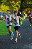 SHP_j+v_cc_22
