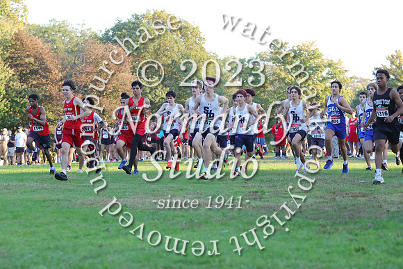 SHP_j+v_cc_15