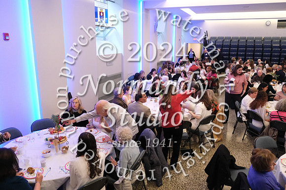 MSM_tea_05