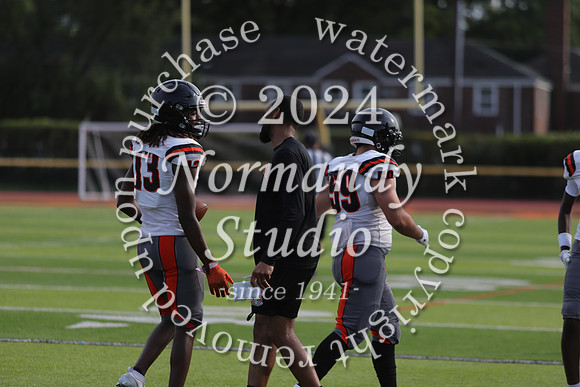 SVL_fb-j_48