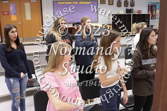 SVL_slc_20