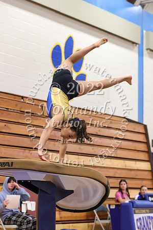 CHS_gy_15