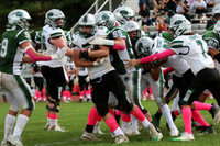 CNH_fb_17