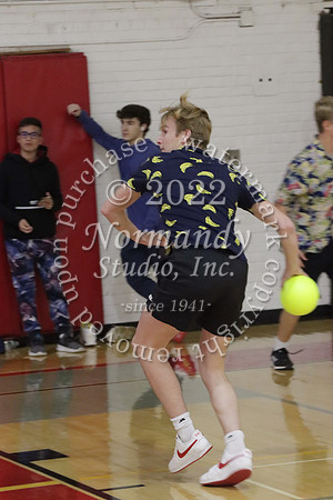 BER_dodgeball_073