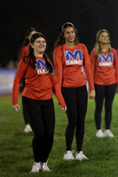 MNP_dt_17