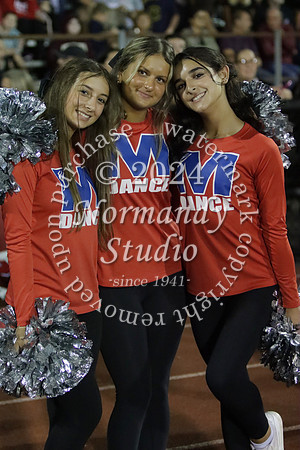MNP_dt_04