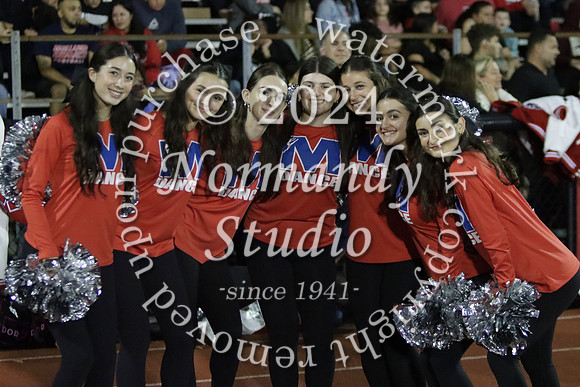 MNP_dt_06
