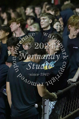 MNP_fans_01