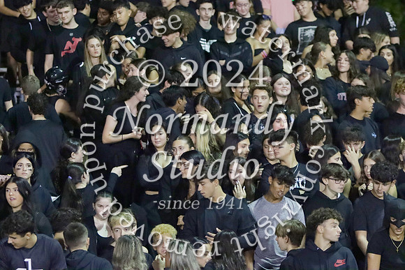 MNP_fans_02
