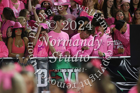 RDG_fans_14