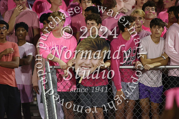 RDG_fans_16