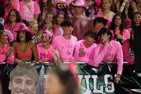 RDG_fans_25