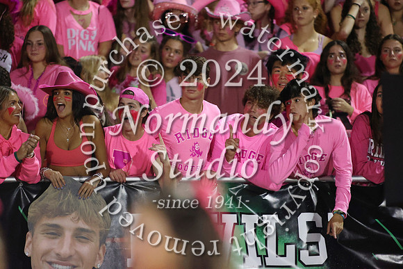 RDG_fans_25