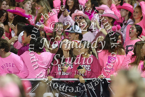 RDG_fans_44