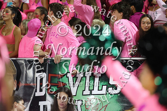 RDG_fans_49